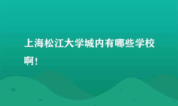 上海松江大学城内有哪些学校啊！