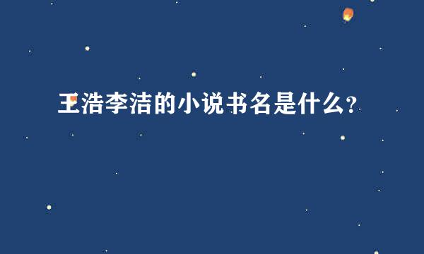 王浩李洁的小说书名是什么？