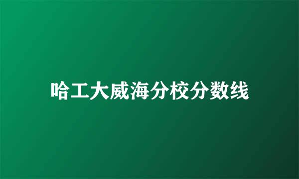 哈工大威海分校分数线