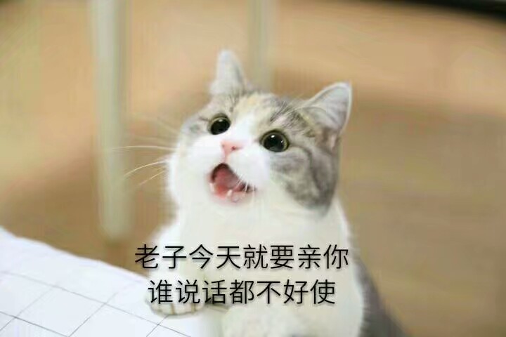 求一整套猫咪可爱表情包！