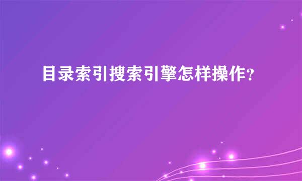 目录索引搜索引擎怎样操作？