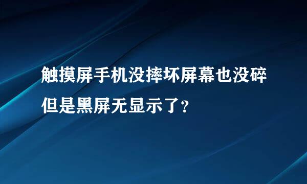 触摸屏手机没摔坏屏幕也没碎但是黑屏无显示了？