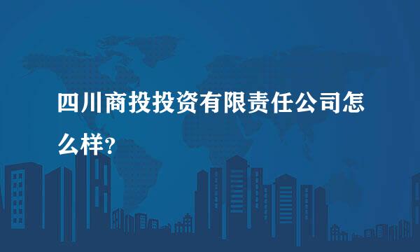 四川商投投资有限责任公司怎么样？