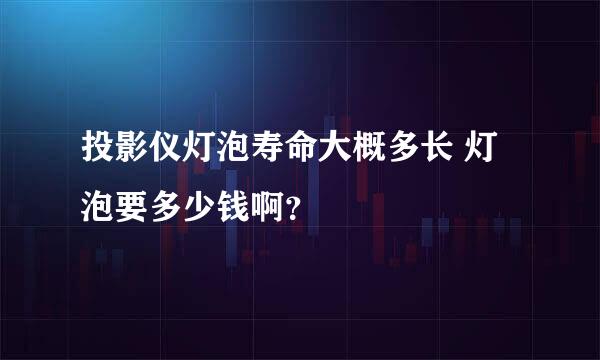 投影仪灯泡寿命大概多长 灯泡要多少钱啊？