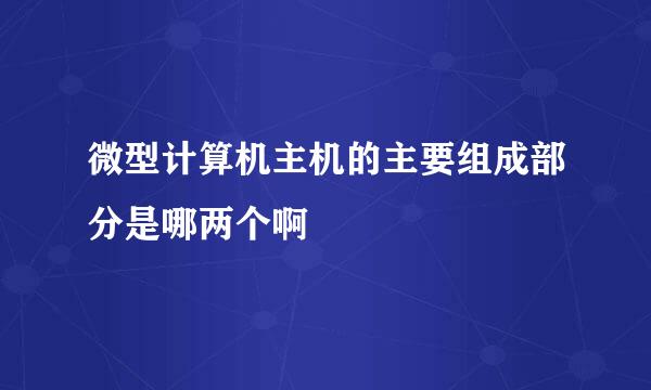 微型计算机主机的主要组成部分是哪两个啊