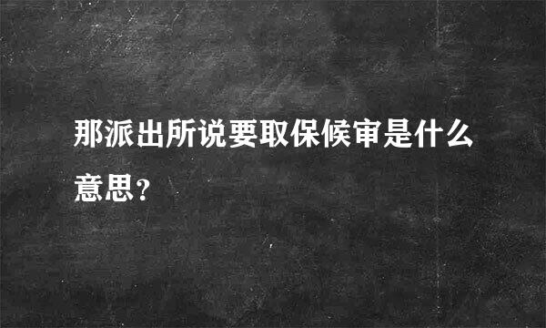 那派出所说要取保候审是什么意思？