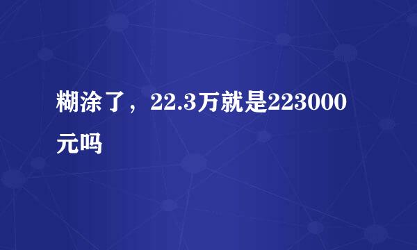 糊涂了，22.3万就是223000元吗