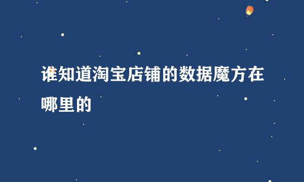 谁知道淘宝店铺的数据魔方在哪里的