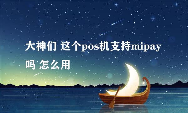 大神们 这个pos机支持mipay吗 怎么用