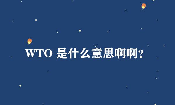 WTO 是什么意思啊啊？