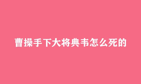 曹操手下大将典韦怎么死的