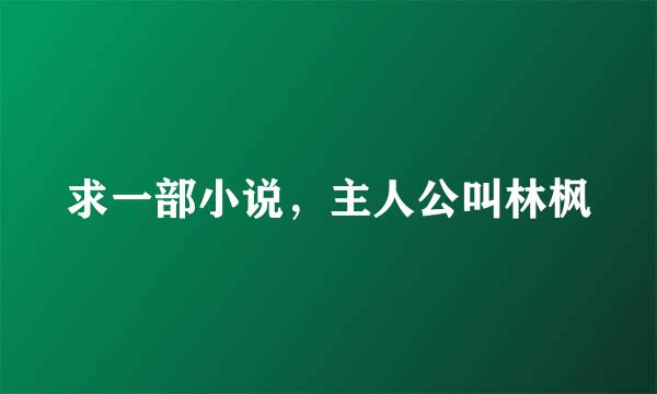 求一部小说，主人公叫林枫