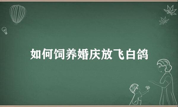 如何饲养婚庆放飞白鸽