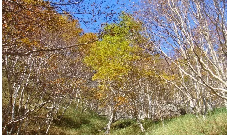 十月份去适合去哪里旅游