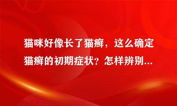 猫咪好像长了猫癣，这么确定猫癣的初期症状？怎样辨别？怕不是，就是猫咪长猫癣的初期症状~