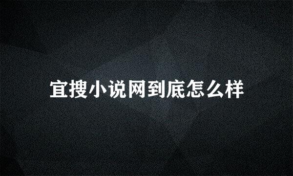 宜搜小说网到底怎么样