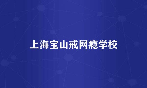 上海宝山戒网瘾学校