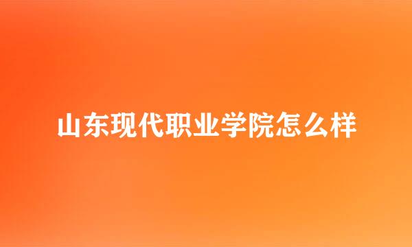 山东现代职业学院怎么样