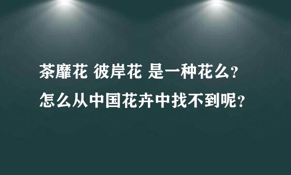 茶靡花 彼岸花 是一种花么？怎么从中国花卉中找不到呢？