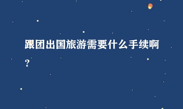 跟团出国旅游需要什么手续啊？