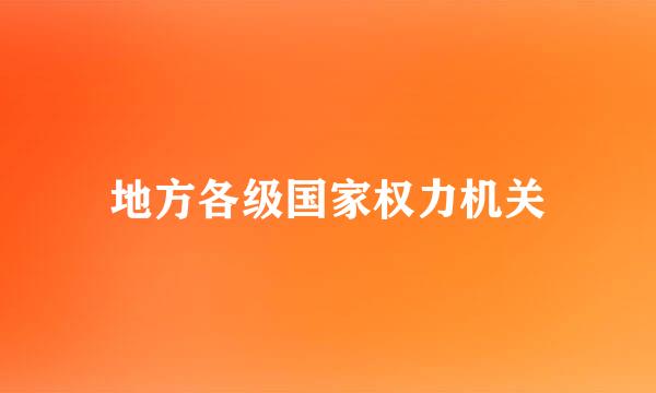 地方各级国家权力机关