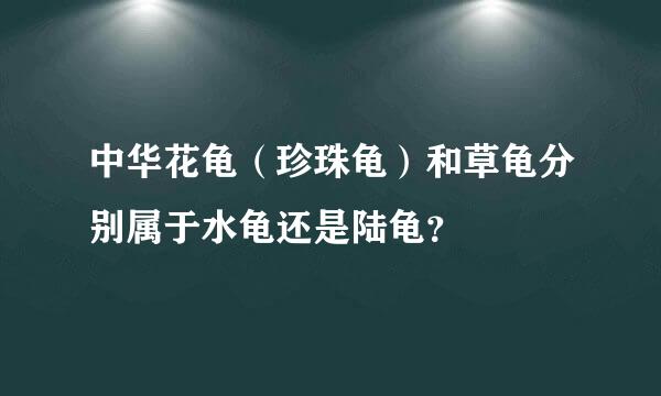 中华花龟（珍珠龟）和草龟分别属于水龟还是陆龟？