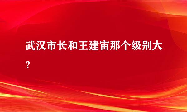 武汉市长和王建宙那个级别大？