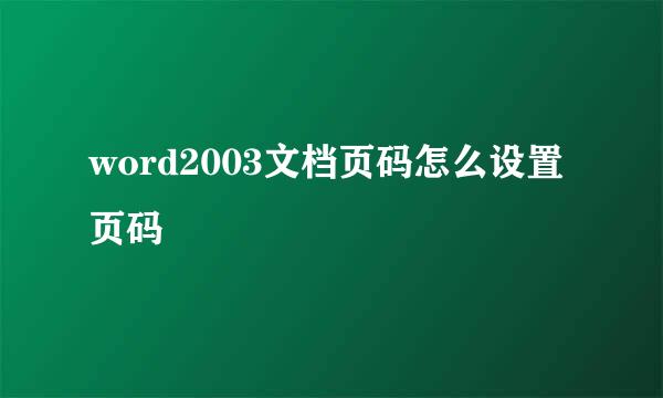 word2003文档页码怎么设置页码