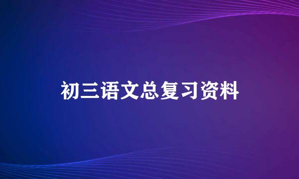 初三语文总复习资料