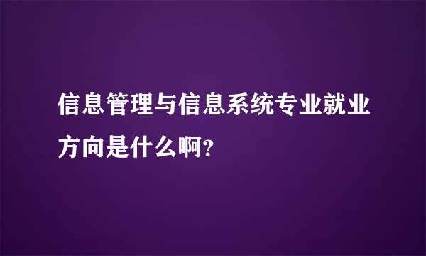 信息管理与信息系统专业就业方向是什么啊？