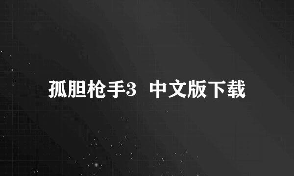 孤胆枪手3  中文版下载