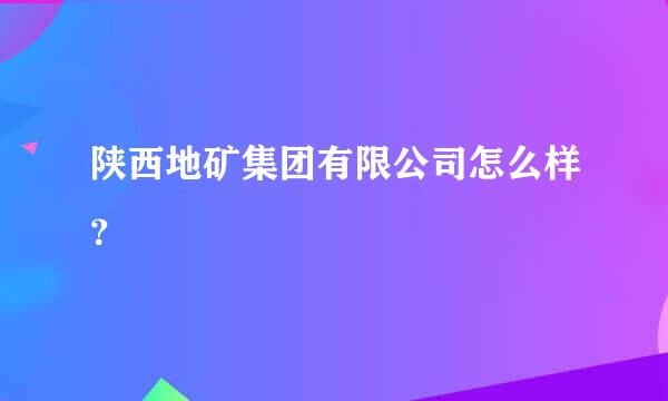 陕西地矿集团有限公司怎么样？