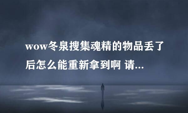 wow冬泉搜集魂精的物品丢了后怎么能重新拿到啊 请高手帮忙谢谢