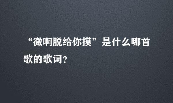 “微啊脱给你摸”是什么哪首歌的歌词？