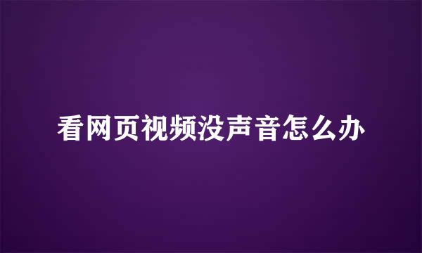 看网页视频没声音怎么办