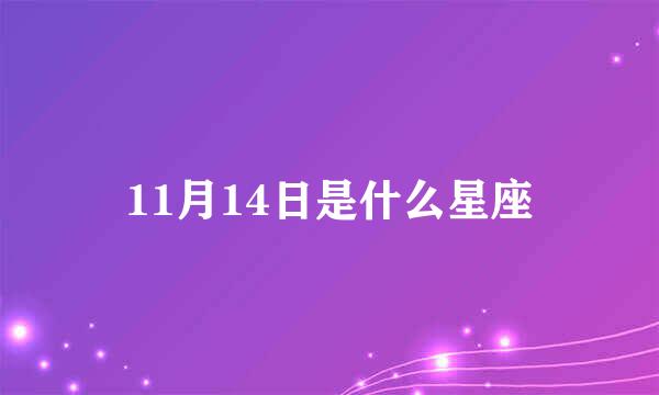 11月14日是什么星座