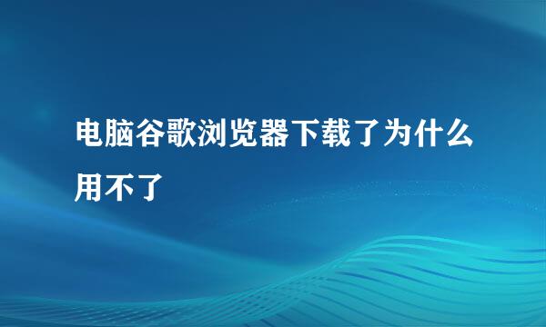 电脑谷歌浏览器下载了为什么用不了