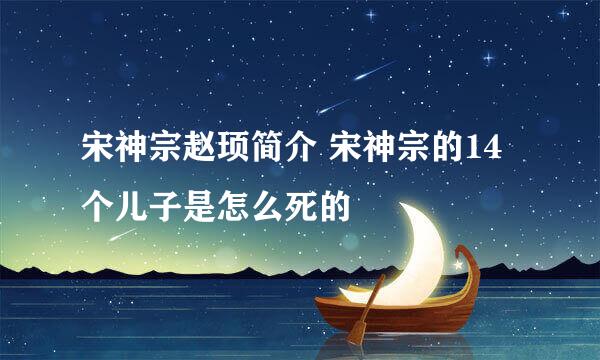 宋神宗赵顼简介 宋神宗的14个儿子是怎么死的