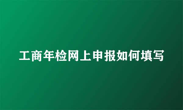 工商年检网上申报如何填写