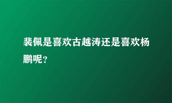 裴佩是喜欢古越涛还是喜欢杨鹏呢？