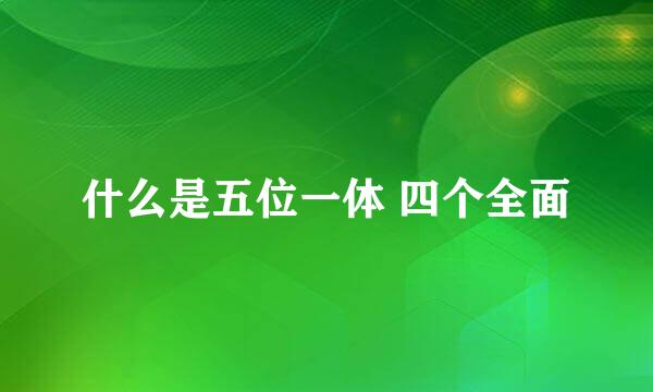 什么是五位一体 四个全面