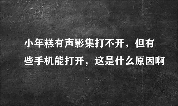 小年糕有声影集打不开，但有些手机能打开，这是什么原因啊