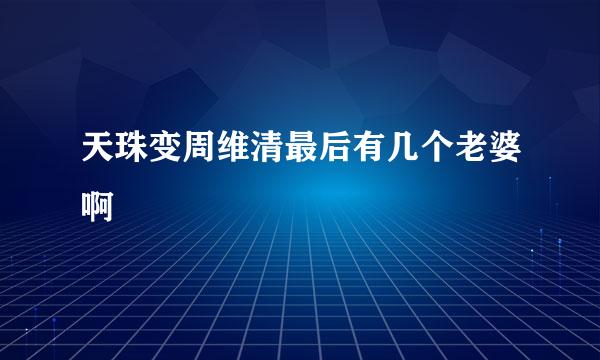 天珠变周维清最后有几个老婆啊