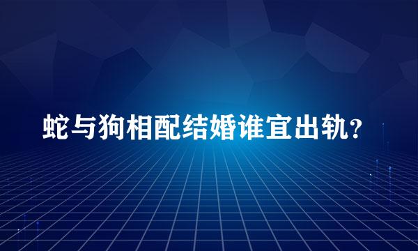 蛇与狗相配结婚谁宜出轨？