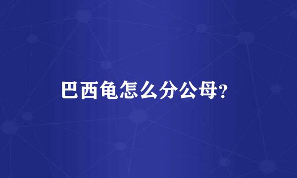 巴西龟怎么分公母？