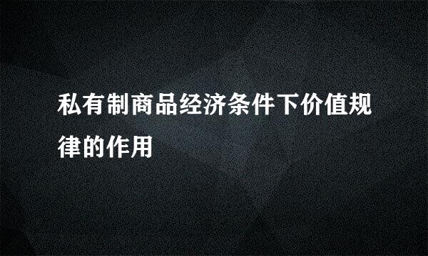 私有制商品经济条件下价值规律的作用