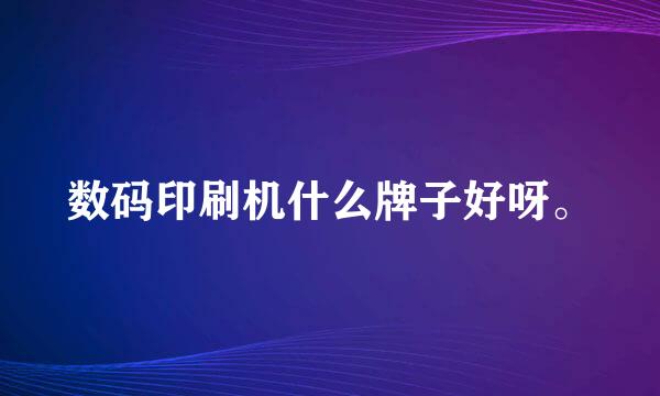 数码印刷机什么牌子好呀。