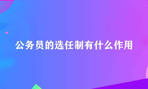 公务员的选任制有什么作用