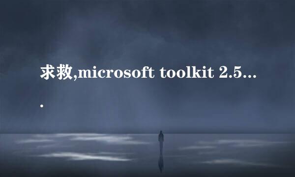 求救,microsoft toolkit 2.5.1激活office2013 失败