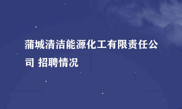 蒲城清洁能源化工有限责任公司 招聘情况